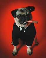 Frank
